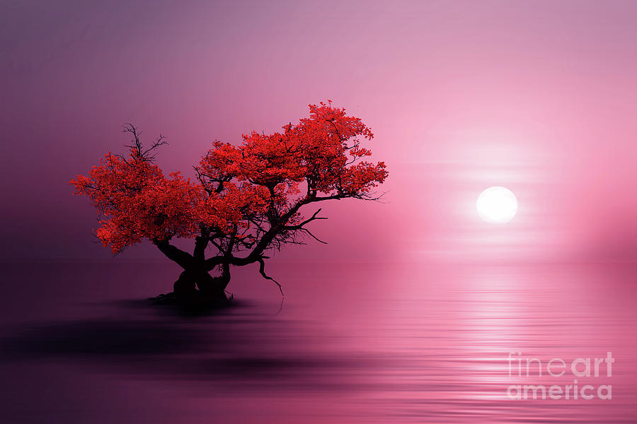 Nature in Red Photograph by Idrus Ids