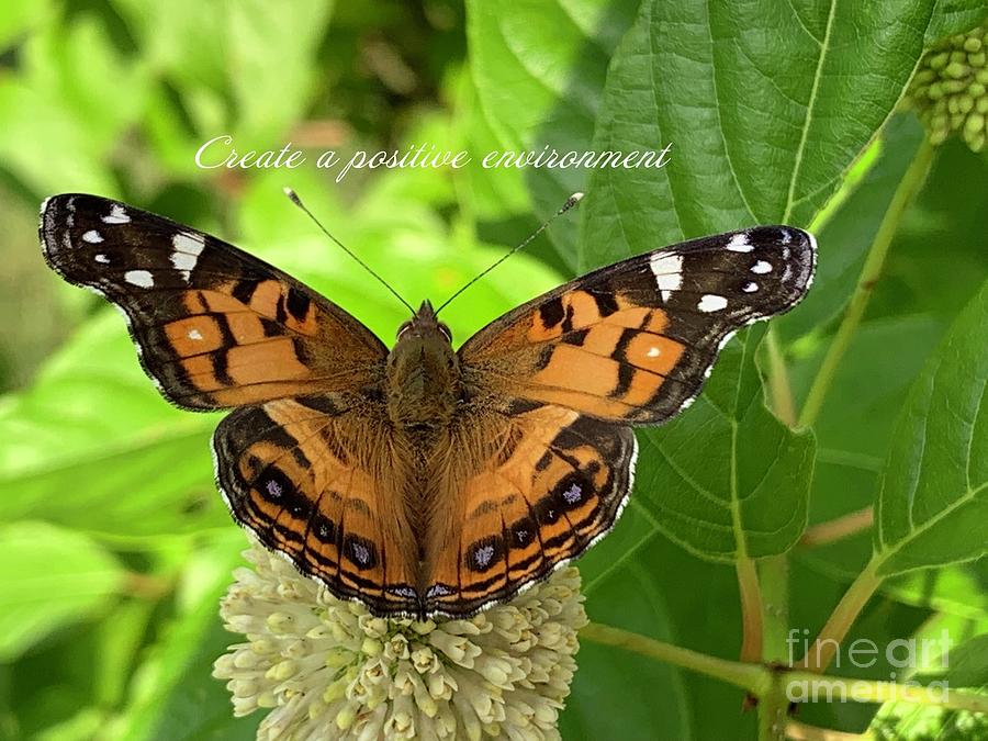Nature Inspiration 2 - Butterfly Photography by Catherine Wilson Photograph by Catherine Wilson