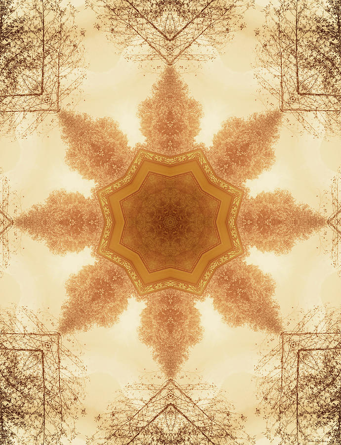 Nature Kaleidoscope Digital Art by Wim Lanclus