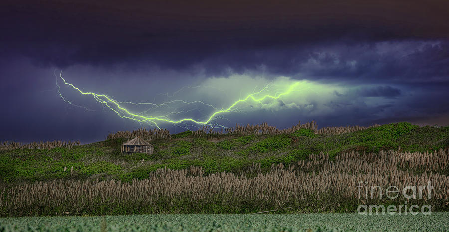 Nature Lightning Fields of Gold Color  Photograph by Chuck Kuhn