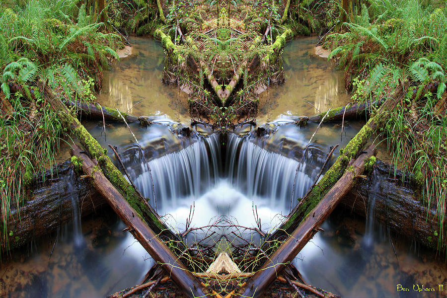 Nature Mirror on Cedar Creek #1 Photograph by Ben Upham III