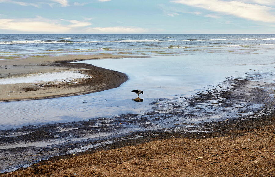 Nature Mirror On The Beach Jurmala  Photograph by Aleksandrs Drozdovs