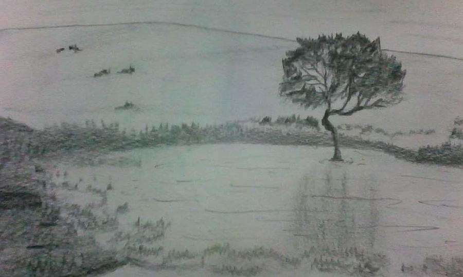 Nature Drawing by Naveen A