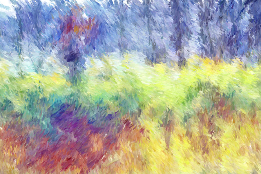 Nature Paint Effect Impressionism Photograph by Tom Prendergast