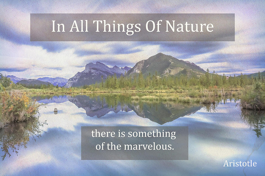 Nature Quote Aristotle Landscape Mixed Media by Dan Sproul