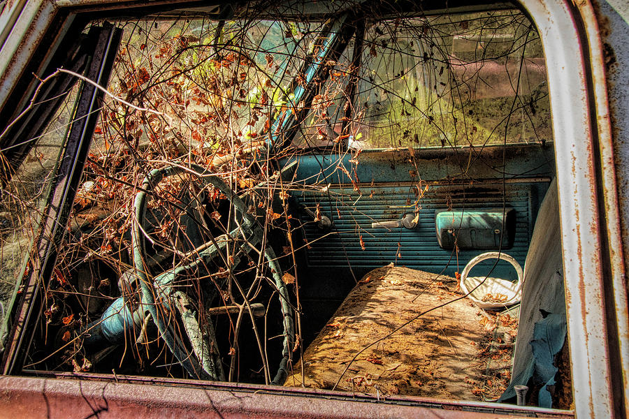 Nature Reclaims An Old Truck Photograph by Kristia Adams
