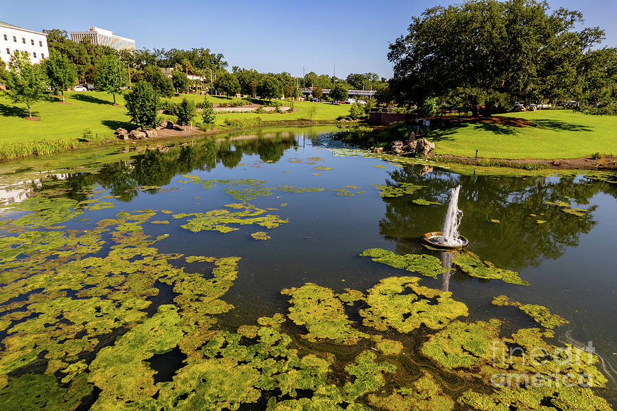 Nature scene at Cascades Park Tallahassee FL Photograph by Felix ...