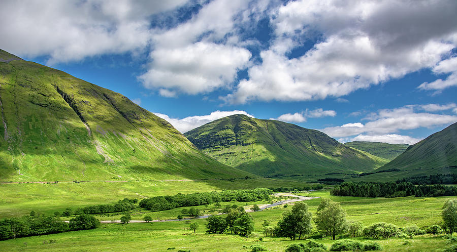 Nature Sings Joy, Scottish Highlands Photograph by Marcy Wielfaert