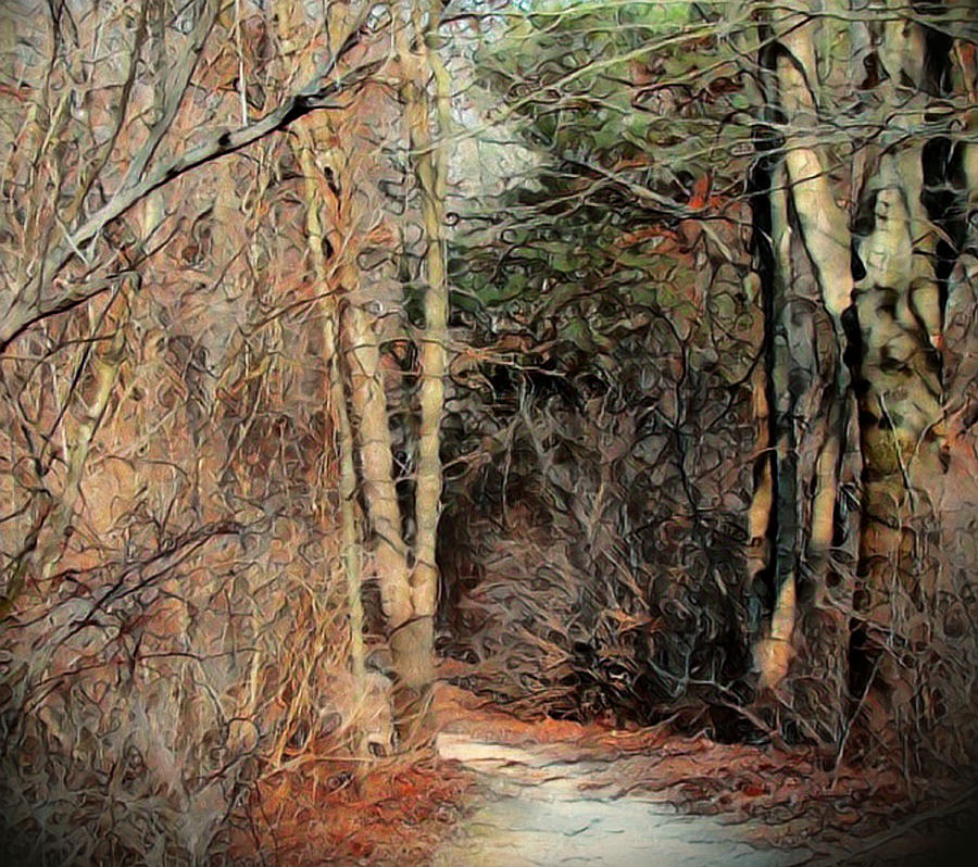 Nature Trail in Michigan No 1 Digital Art by Artful Oasis