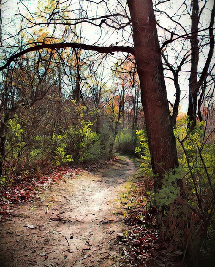 Nature Trail in Michigan No 4 Digital Art by Artful Oasis