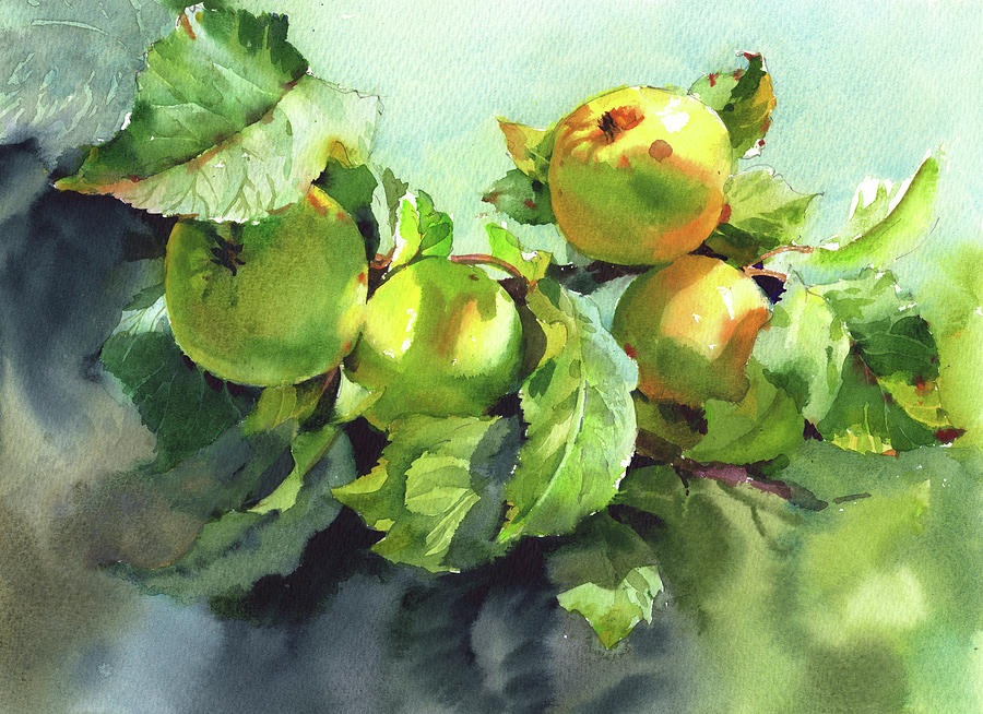 Nature watercolor Apples on by Samira Yanushkova