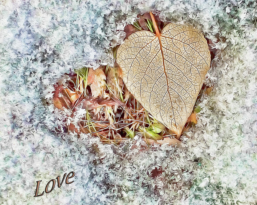 Natures Art with Love Photograph by Rhonda McDougall