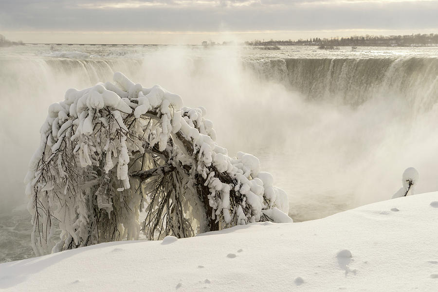 Natures Artistry - Ice Sculptured Tree at Niagara Falls Horseshoe Waterfall Photograph by Georgia Mizuleva