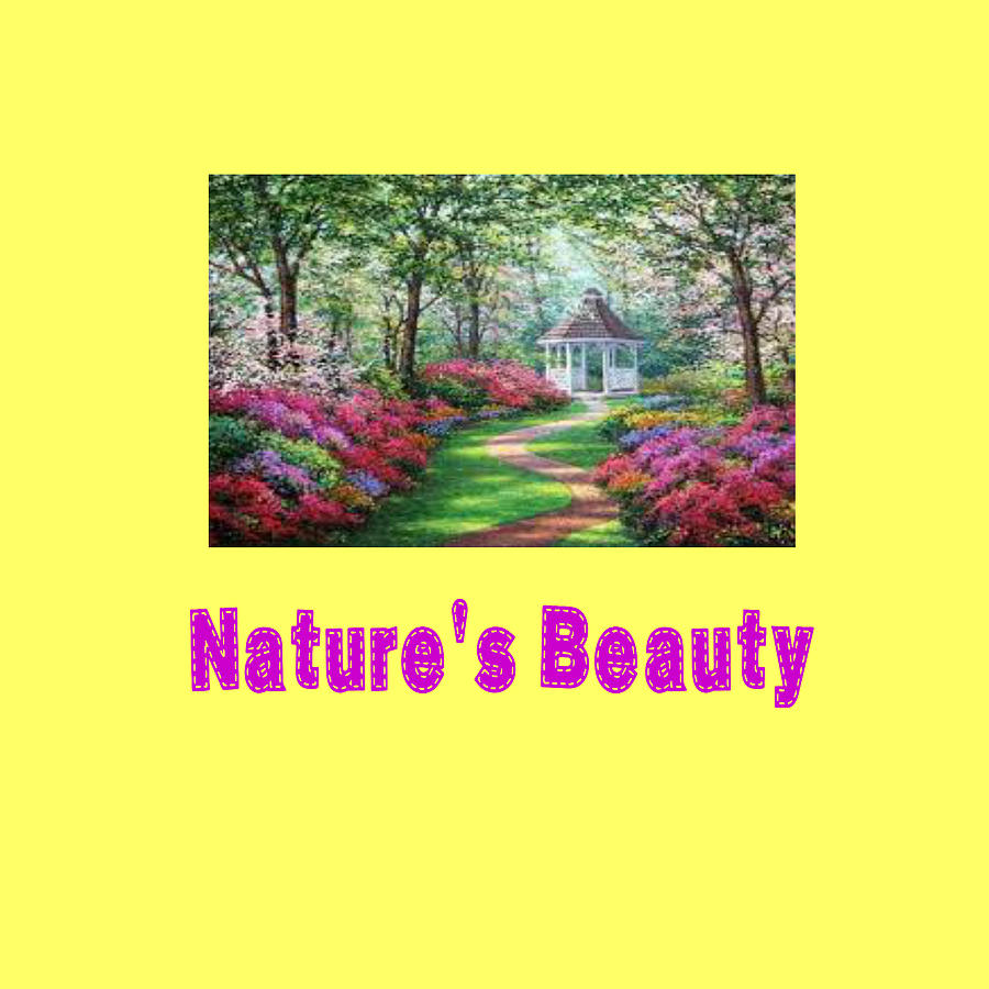 Natures Beauty Digital Art by Dolores Boyd