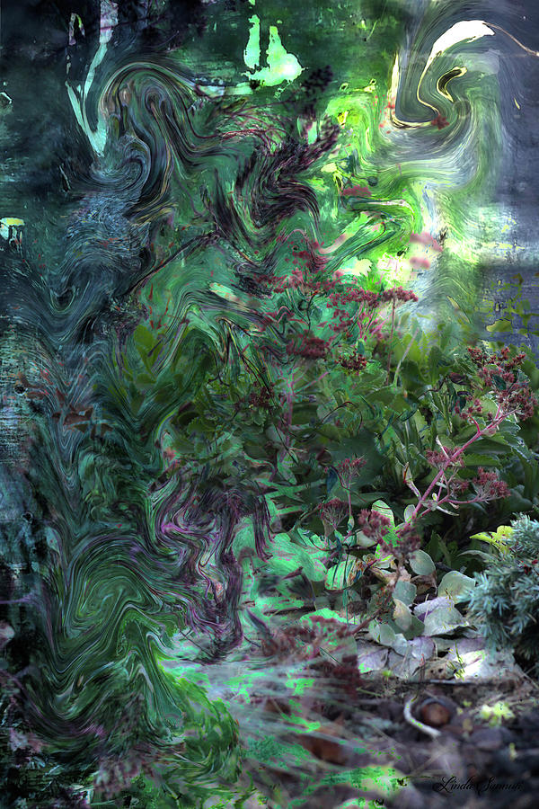 Natures Canvas Digital Art by Linda Sannuti