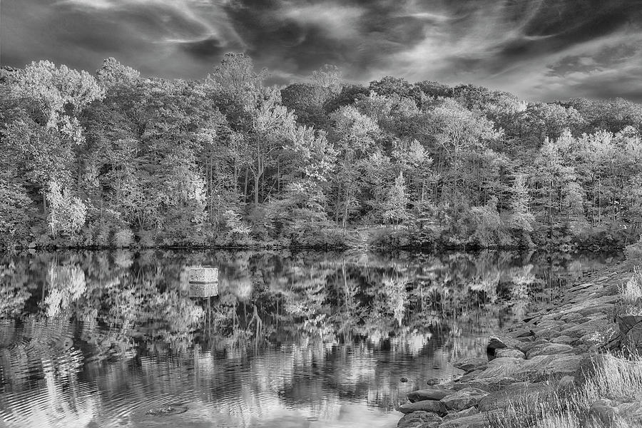 Natures Color Palette NY BW Photograph by Susan Candelario