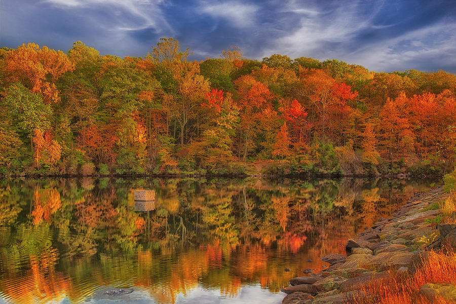 Natures Color Palette NY Photograph by Susan Candelario