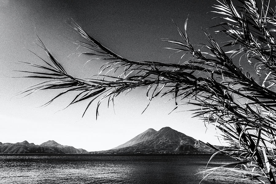 Natures Curves At Lake Atitlan - Black And White Photograph