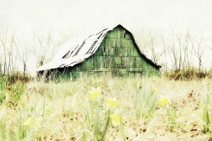 Barn Photograph - Natures First Green by Julie Hamilton