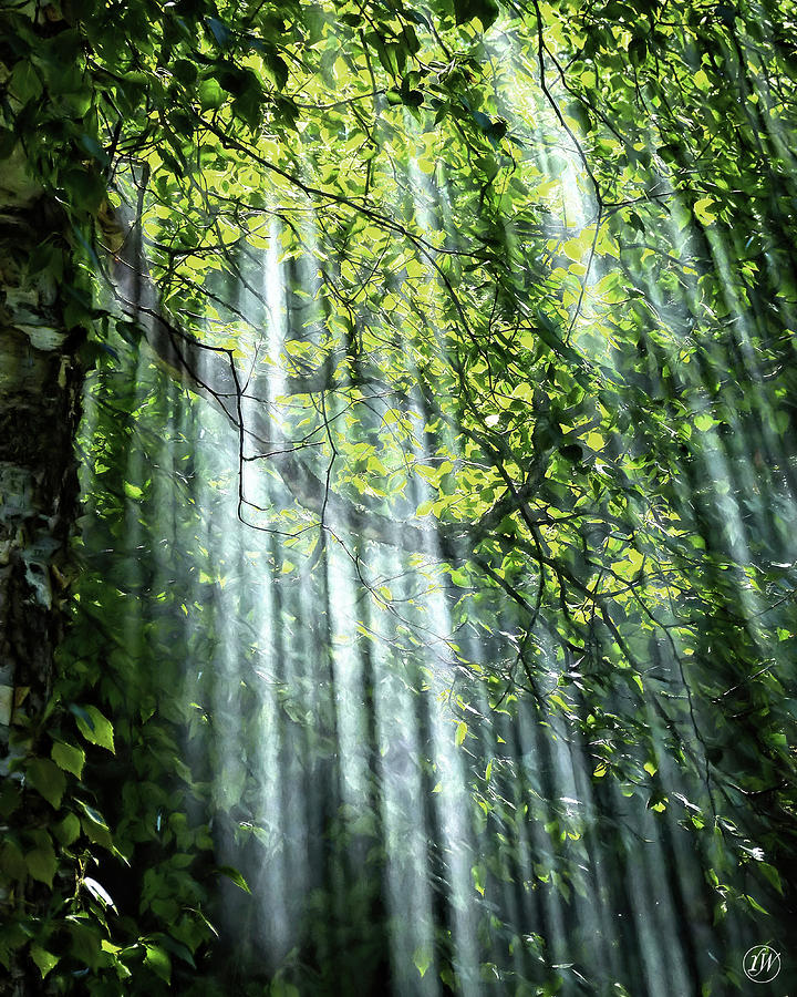 Nature's Lightshow by Rick Wiles Nature's Lightshow by Rick Wiles