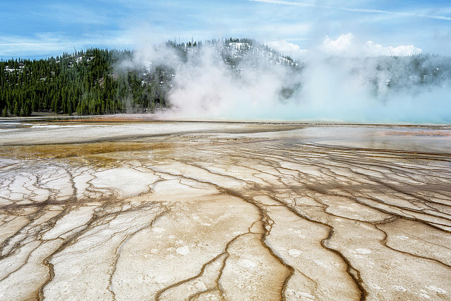 Natures Patterns II Yellowstone National Park Photograph
