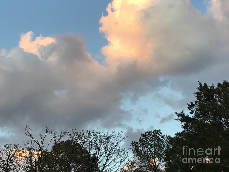 Natures Pleasure Clouds Photograph by Catherine Wilson