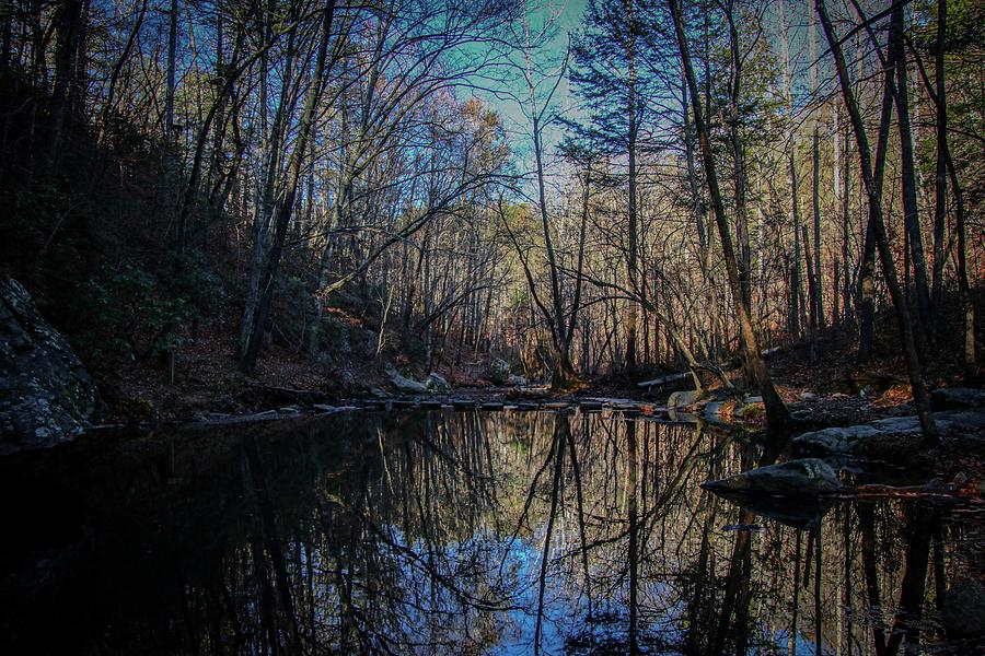 Natures Reflections Photograph by Deb Beausoleil