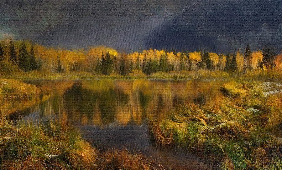 Natures Reflections Digital Art by Russ Harris