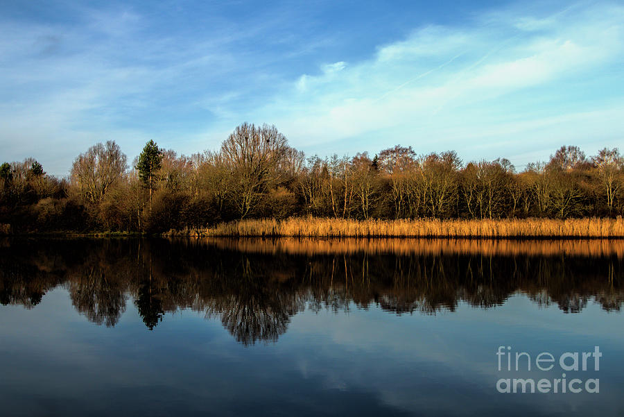 Natures Reflections Photograph by Stephen Melia