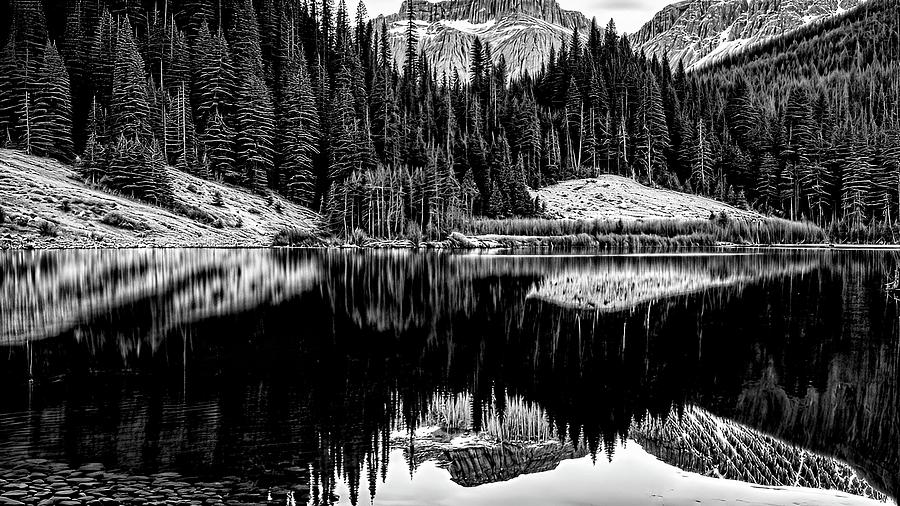 Natures Silent Song in Monochrome Digital Art by Samuel HUYNH Natures Silent Song in Monochrome Digital Art by Samuel HUYNH