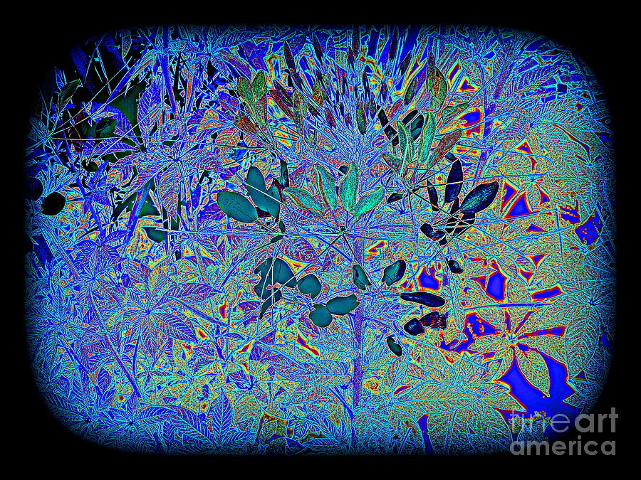 Natures Stained Glass Digital Art by Nancy Kane Chapman