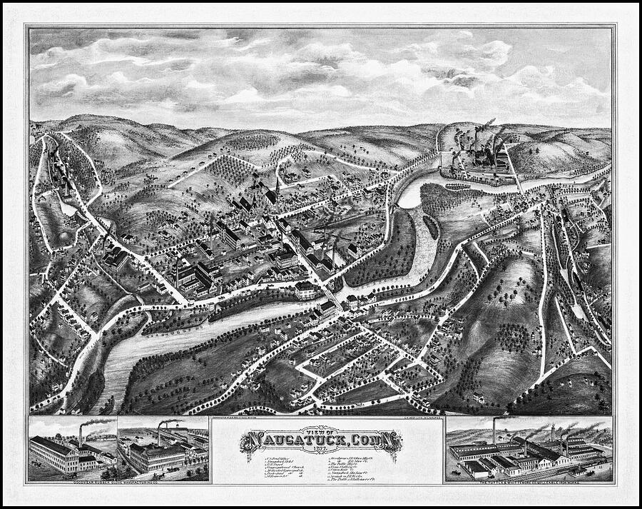 Naugatuck Connecticut Vintage Map Birds Eye View 1877 Black and White ...