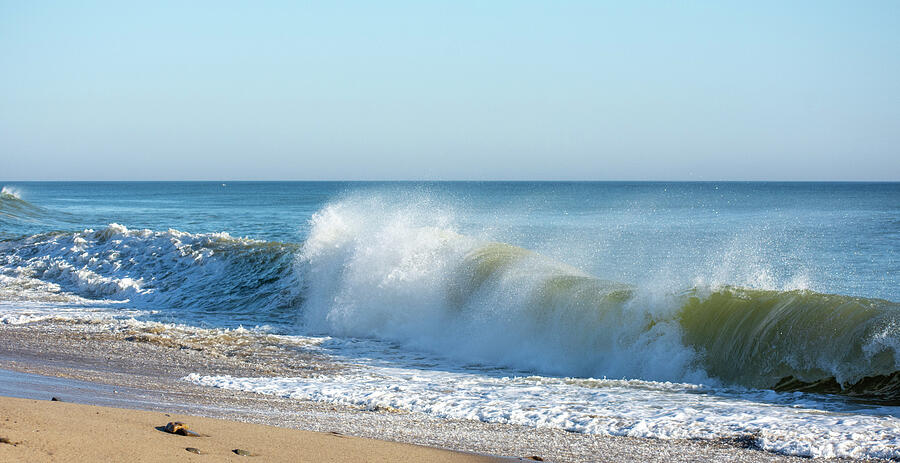 Nature Photograph - Nauset Green Roll1 by Kevin Gullbrants