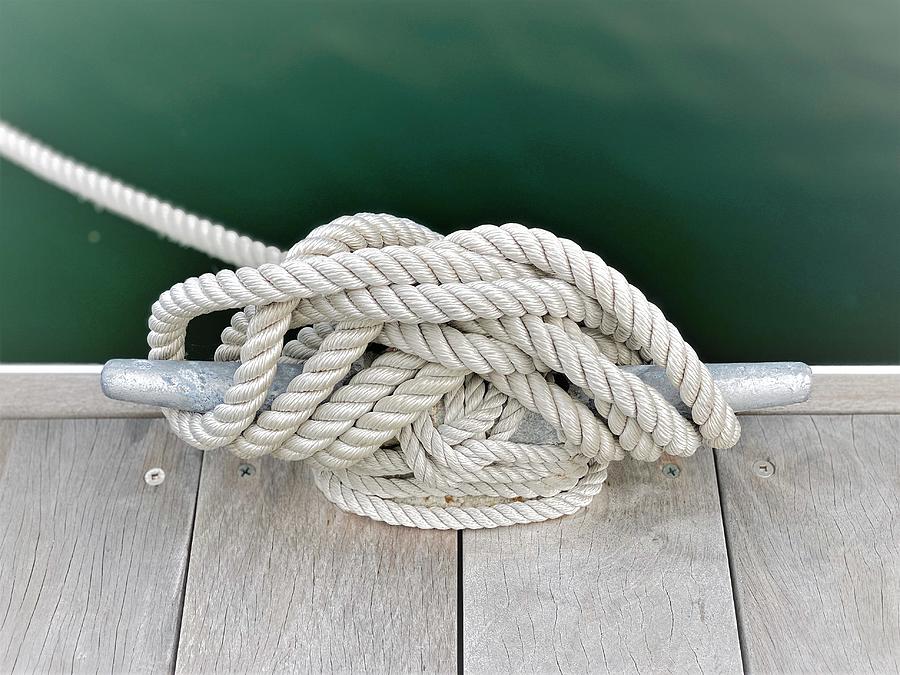 https://images.fineartamerica.com/images/artworkimages/mediumlarge/3/nautical-rope-knots-on-dock-zia-hansen.jpg