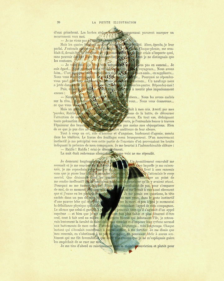Summer Digital Art - Nautical sea shells on antique French book page by Madame Memento