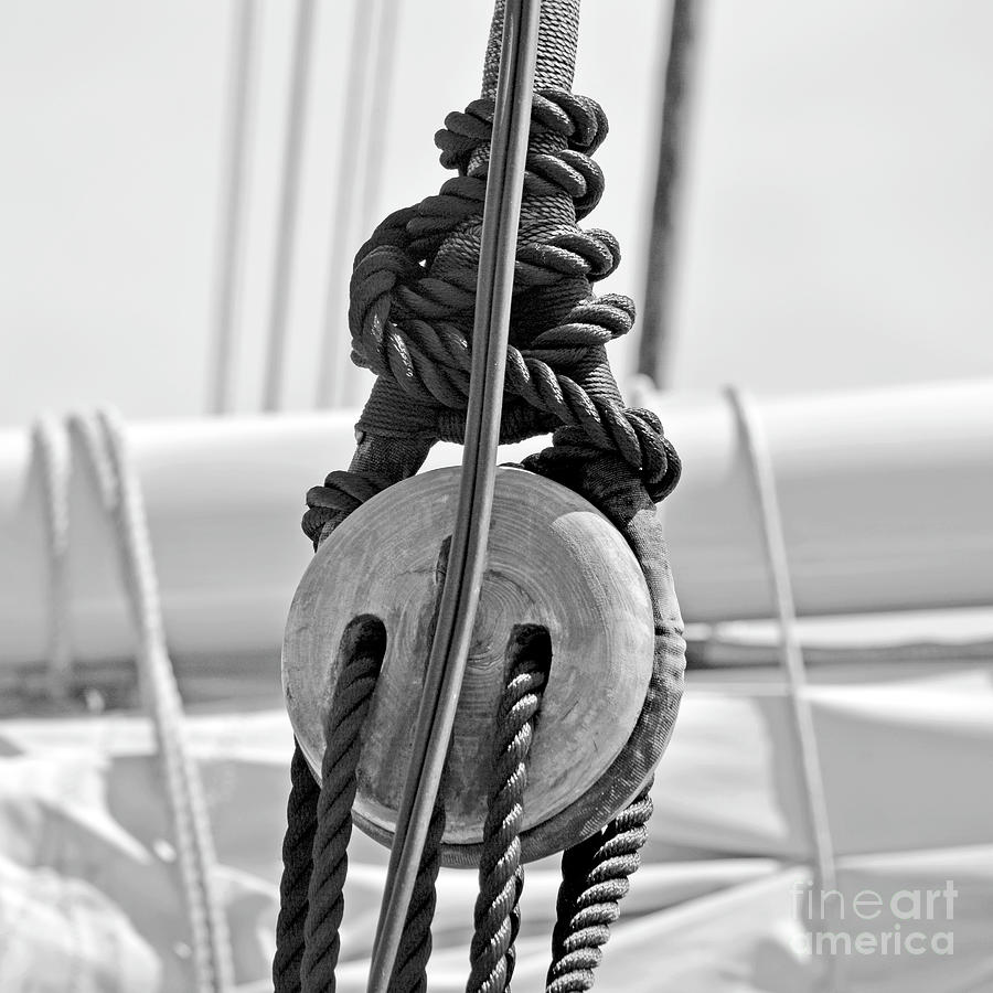 Nautical Series Pulley Photograph by Dianne Morgado