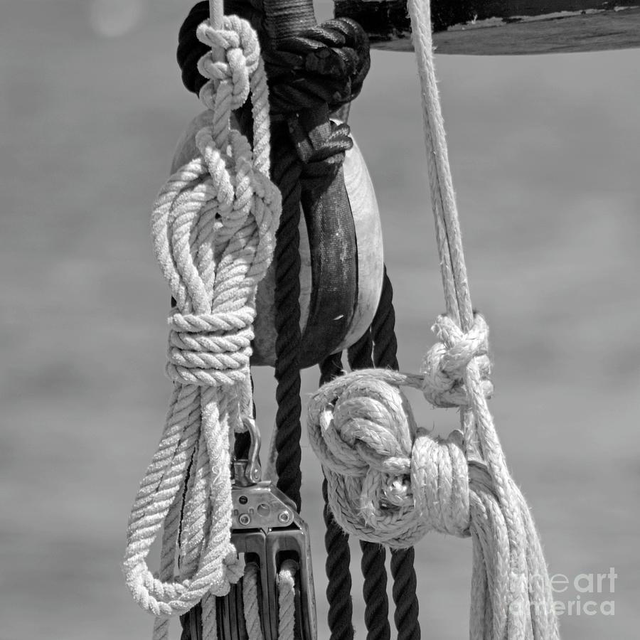 Nautical Series Trio Photograph by Dianne Morgado