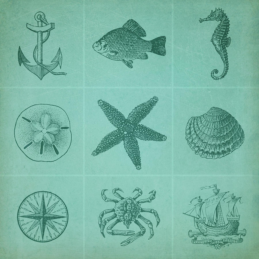Vintage Nautical Theme Mosaic Drawing by Peggy Collins