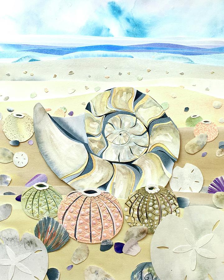 Nautilus Beach Relief by Sarah Suplina - Fine Art America