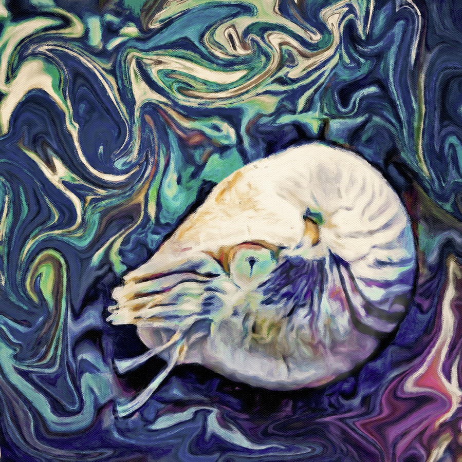 Nautilus Blue Painting by Susan Maxwell Schmidt