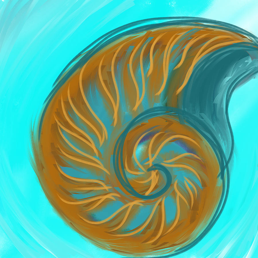Nautilus  Digital Art by Faa shie