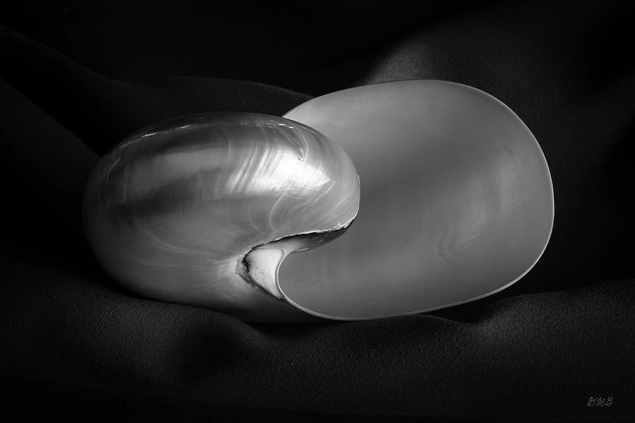 Nautilus Shell I BW Photograph by David Gordon