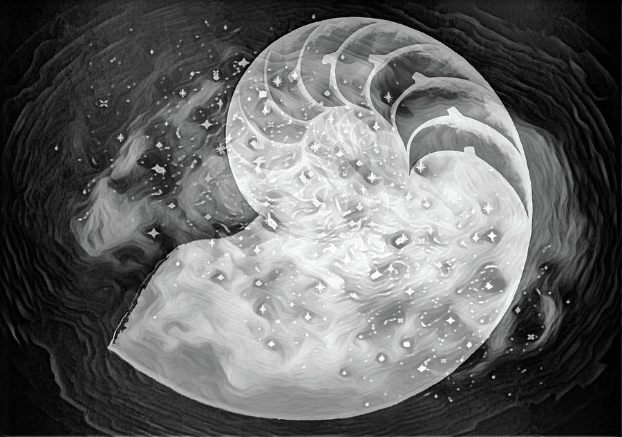 Nautilus Shell in the Waves II Black and White Photograph by Debra and Dave Vanderlaan