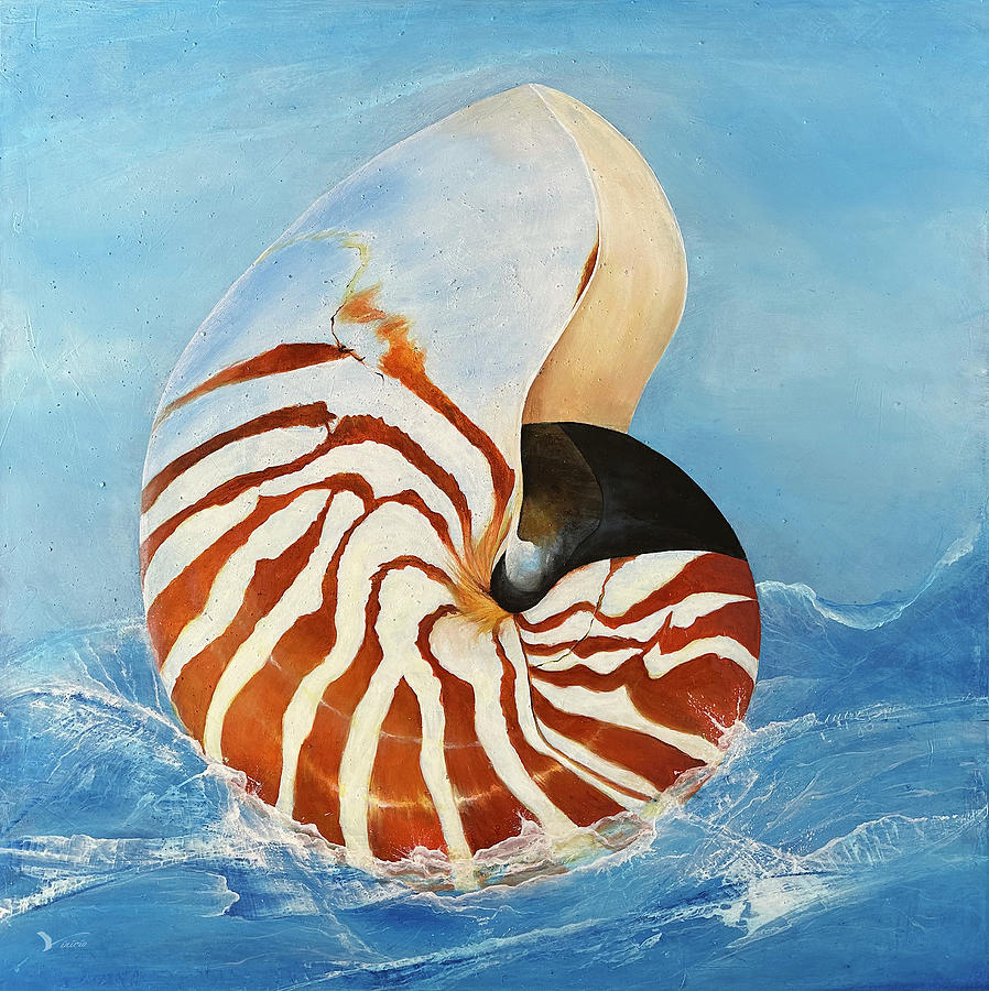 Nautilus Shell Painting by Marcos Porcayo - Pixels