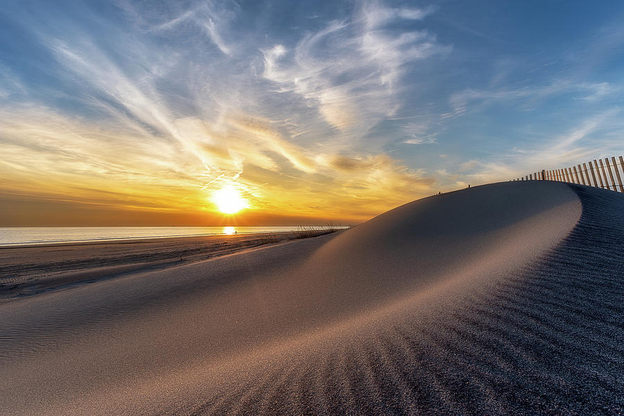Nautilus Shell Sand Dune Photograph by John Randazzo