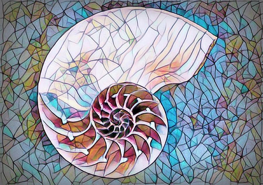Nautilus Shell Stained Glass Digital Art by Debra and Dave Vanderlaan