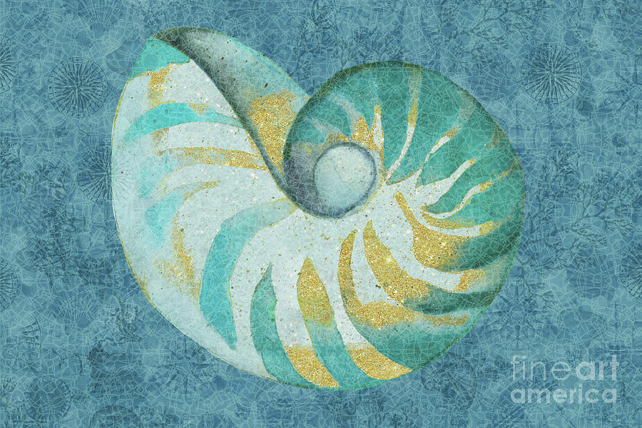 Nautilus Wonder  Painting by Sue Zipkin