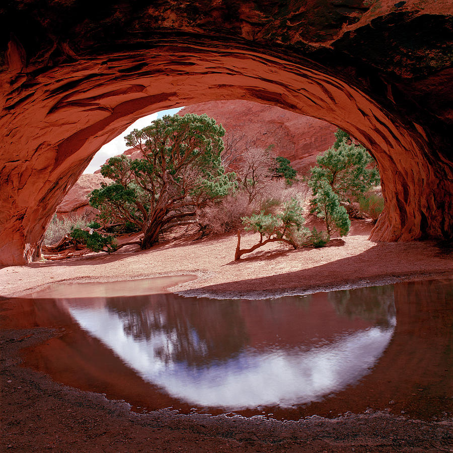 Navajo Arch Reflection Photograph by Tom Daniel