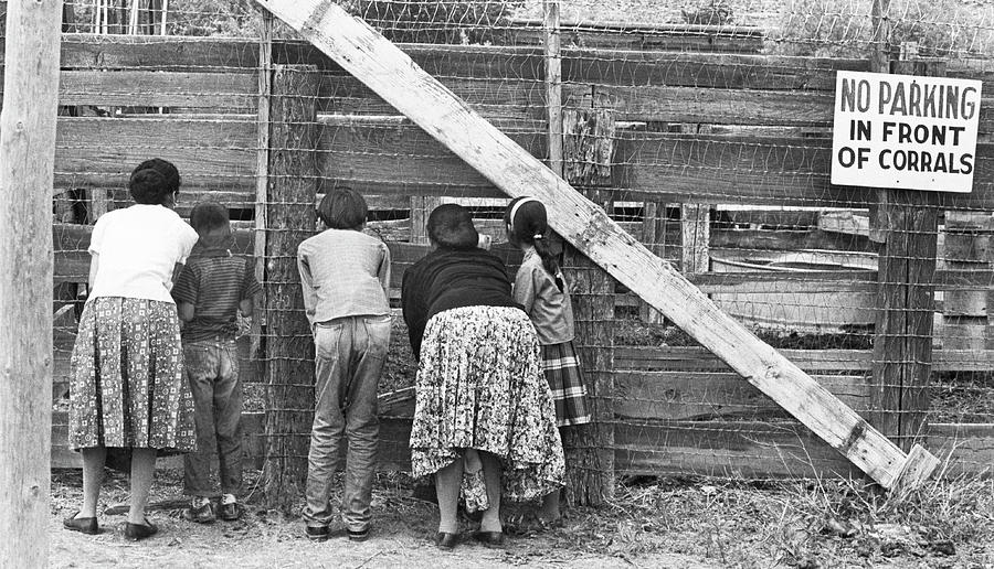 Navajo Indian Children Photograph by Buddy Mays