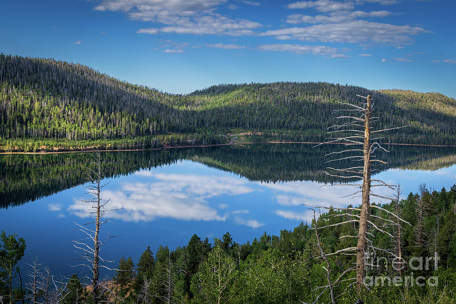 Navajo Lake Photograph by Mimi Ditchie